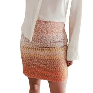 HD in Paris Anthropologie ombré embroidered mini skirt